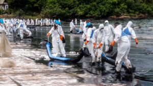 Read more about the article When Does Your Business or Community Need Environmental Services?