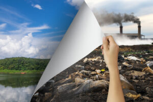 Read more about the article 4 Ways TAS Environmental Services Keeps Our Communities Clean