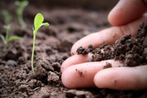 Read more about the article How Can Environmental Remediation Help Your Community in 2023