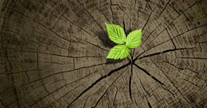 Read more about the article Beyond Cleanup: A Holistic Approach to Abandoned Waste Handling