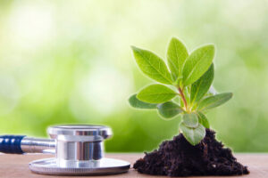 Read more about the article Contamination to Reclamation: How Safe Soil Remediation Works