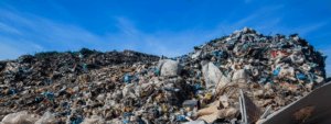 Read more about the article Specialized Waste Disposal: Why It’s Crucial for Your Business