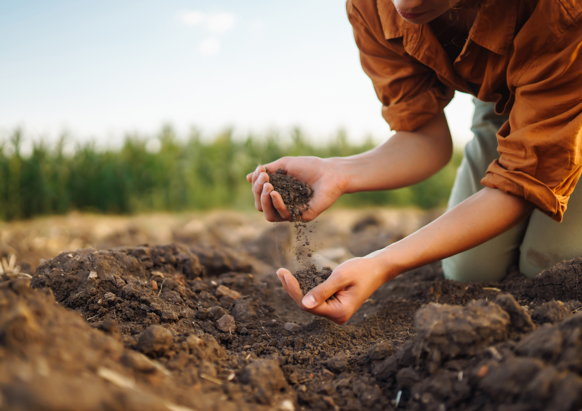 Read more about the article Soil Remediation Services: Safe and Effective Solutions for Contaminated Land